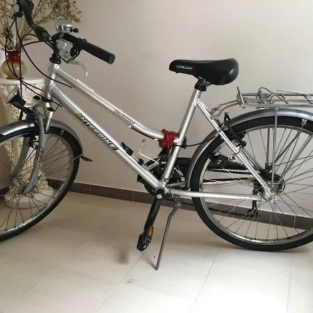 олан * Truskawiec